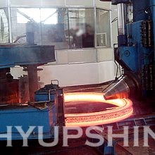 HYUPSHIN FLANGES FORGING WORKS
