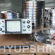 Hyupshin Flanges Inspection and Testing