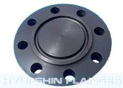 RTJ FLANGE RING TYPE JOINT