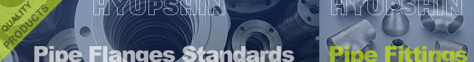 Shandong Hyupshin Flanges Co., Ltd, pipe flange, pipe fitting, catalog