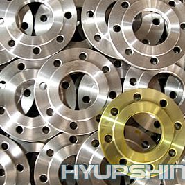 hyupshin_flanges_Plate_flange_RF_din2543