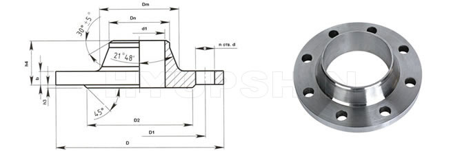 hyupshin ansi flanges