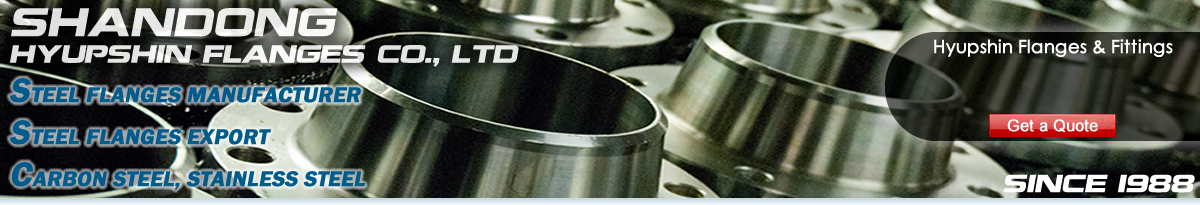 Jinan Hyupshin Flanges Co., Ltd, Large Steel Flanges Manufacturer, Factory, Exporter From Shandong of China.
