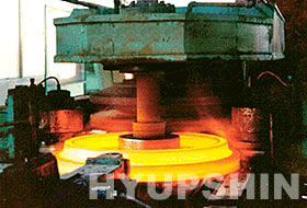 Shandong Hyupshin Flanges Co., Ltd, forging flange, forged flange