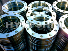 Electro Galvanized Flange